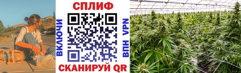 Купить  Донской  Конопля индика 